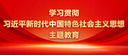 男女在曹B视频学习贯彻习近平新时代中国特色社会主义思想主题教育_fororder_ad-371X160(2)